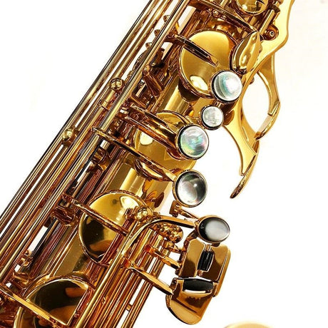 [Slightly_Damaged_Outlet_Special_Price]_Eastman_ETS652GL_Tenor_Saxophone_[Shipped_after_adjustment_&_setup]_[5_Years_of_Free_Key_Balance_Adjustment]_[Early_Summer_Special_Price_Sale]_03