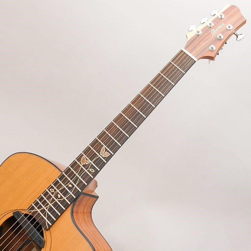 [Special_Price]_JGM11WC__John_Gomm_Ikebe_Exclusive_Model_Ibanez_Ibanez_10
