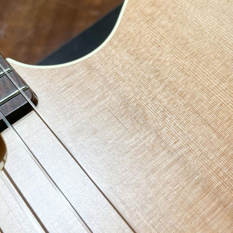 [Special_Price]_Multiac_Nylon_Encore_Godin_10