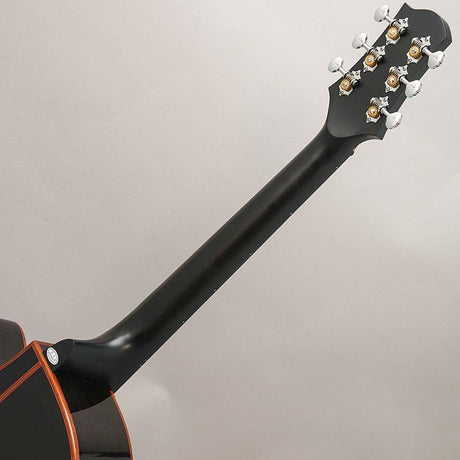 [Special_Price]_YATK-1400EC_Black_S_Yairi_09