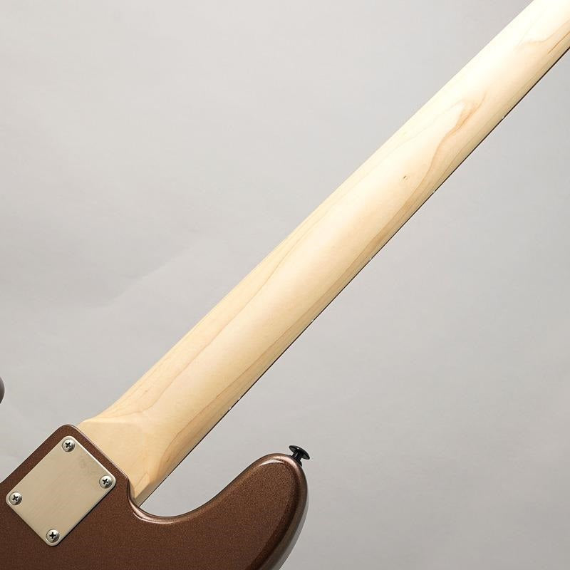 Standard_Series_Beta_PJ5_XL_(Hazel_Brown_Metallic)_[Special_Edition_Model_Exhibited_at_Sound_Messe]_06