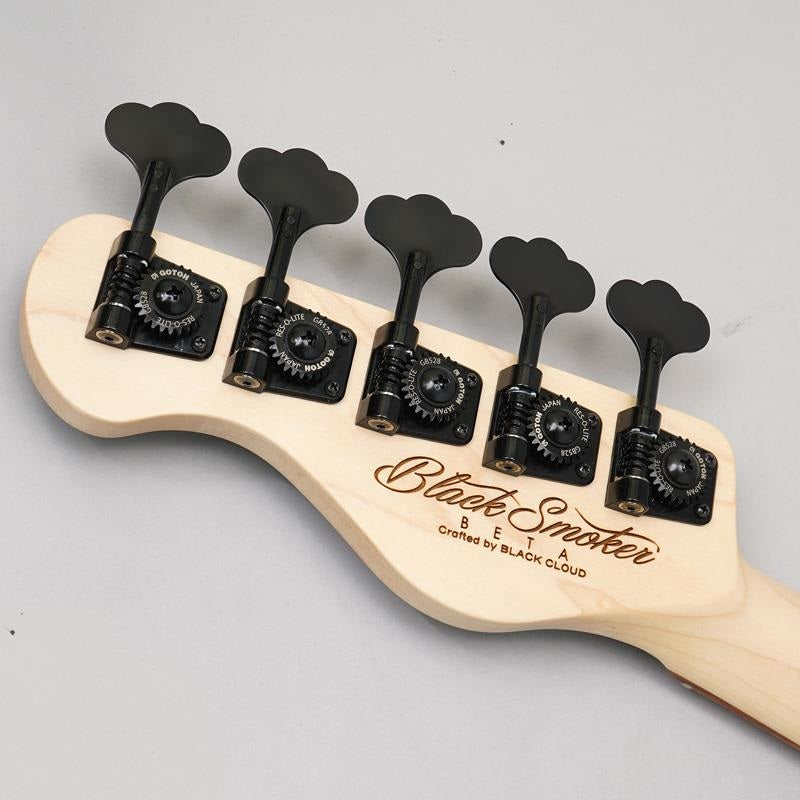 Standard_Series_Beta_PJ5_XL_(Hazel_Brown_Metallic)_[Special_Edition_Model_Exhibited_at_Sound_Messe]_08