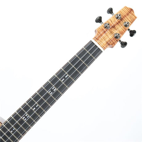Sumerian_No_771_Toda_Guitars_06