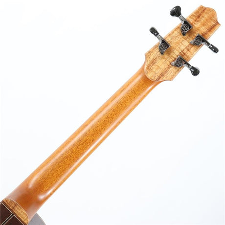 Sumerian_No_771_Toda_Guitars_08