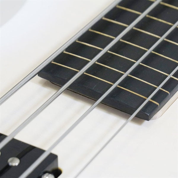 TBP-3450WFM_[Fretless_Bass]_02