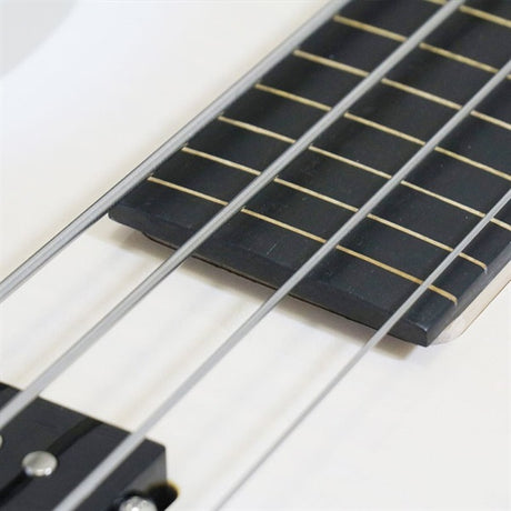 TBP-3450WFM_[Fretless_Bass]_02