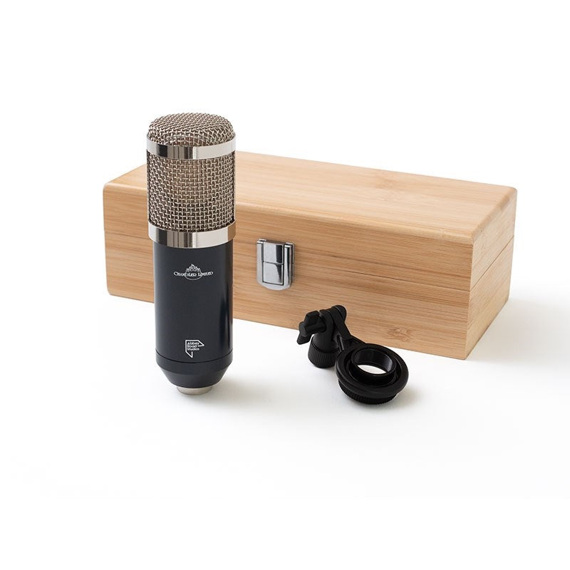 TG_Microphone_Type_L_[Pre-order_item，_first_shipment_sold_out]__Delivery_date_will_be_notified_separately_03