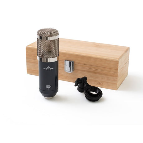 TG_Microphone_Type_L_[Pre-order_item，_first_shipment_sold_out]__Delivery_date_will_be_notified_separately_03