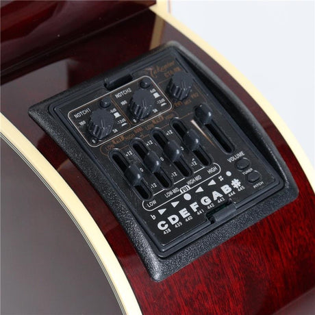 Takamine_DMP551C_WR_09