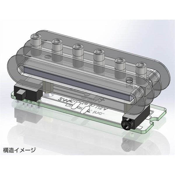 The_Black_Angel_DP234_[Authentic_Imported_Product]_04