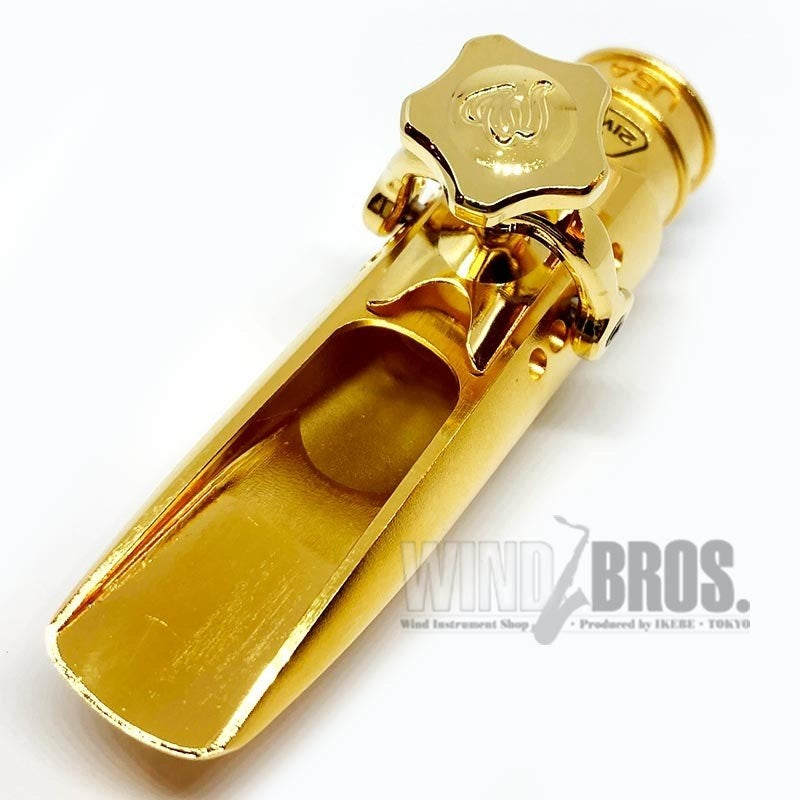 Theo_Wani_DURGA_5_Metal_Alto_Saxophone_Mouthpiece_with_an_Opening_of_8_03