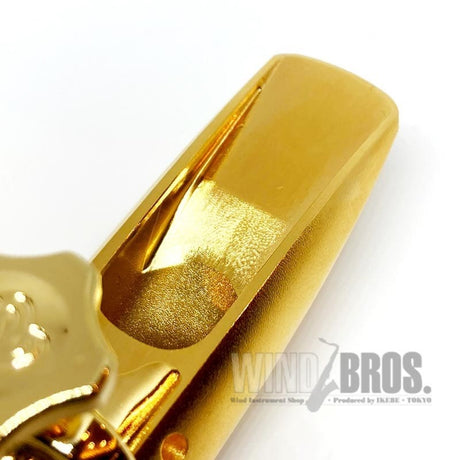 Theo_Wani_DURGA_5_Metal_Alto_Saxophone_Mouthpiece_with_an_Opening_of_8_04