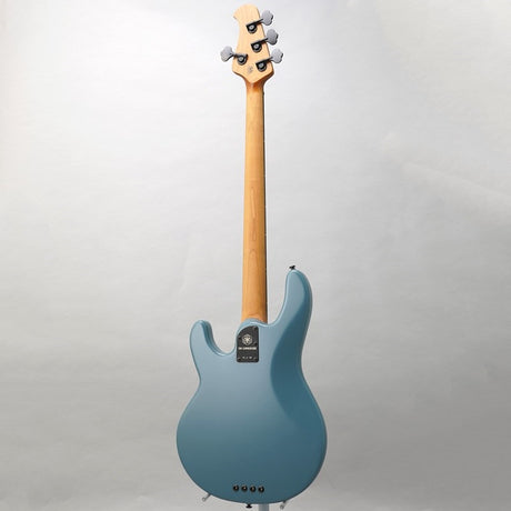Tim_Commerford_Stingray_Bass_(Passive)_04