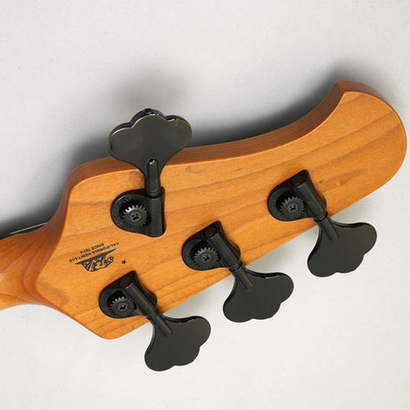 Tim_Commerford_Stingray_Bass_(Passive)_08