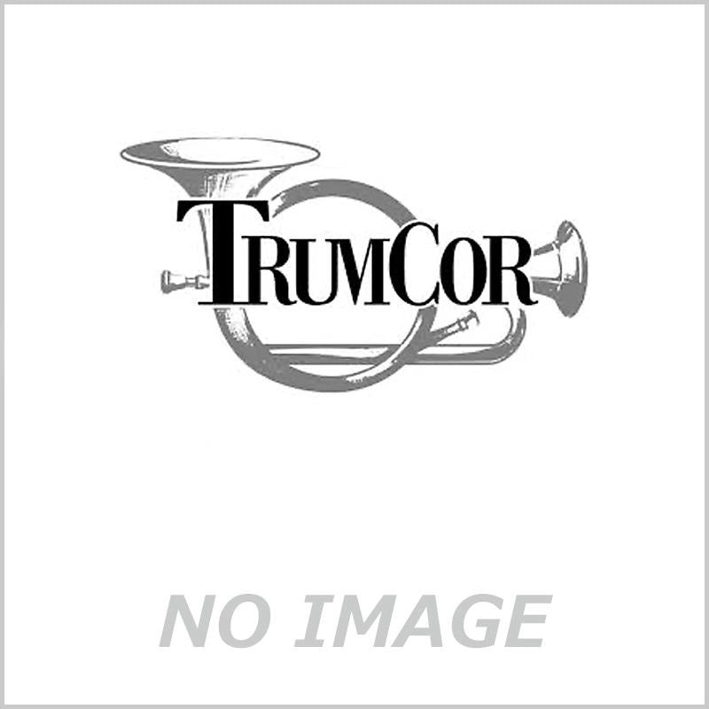 Trancore___Straight_Aluminum_Piccolo_Trumpet_Mute_01