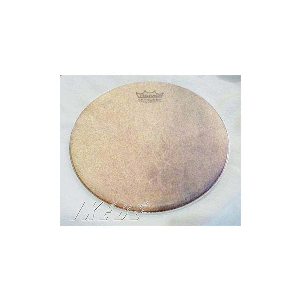 UL0110BT013 REMO Pandeiro Head 10 by REMO – Ikebe Musical