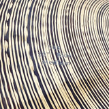 USED_503-20RM_[503_Series_Medium_Ride_20_2398g]_06