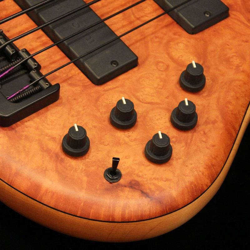 USED_535-24_Fretless_'08_05