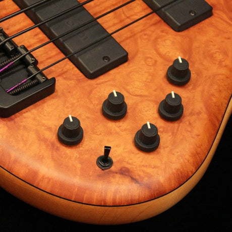 USED_535-24_Fretless_'08_05