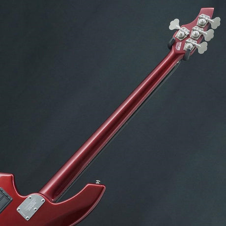 USED_Bongo_4H_06