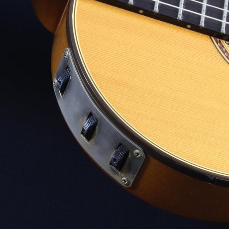 USED_Chet_Atkins_CE_(Natural)_04