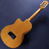USED_Chet_Atkins_CE_(Natural)_06