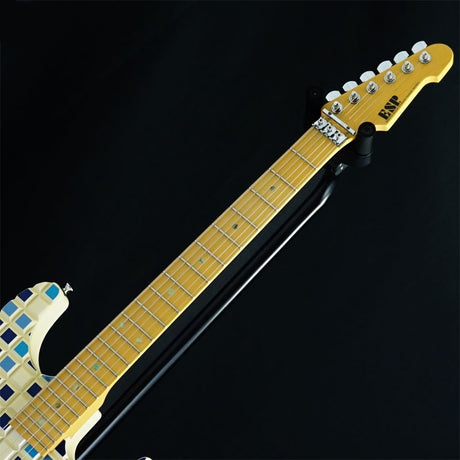 USED_Custom_Order_Guitar_#Tile_[T0542402]_05