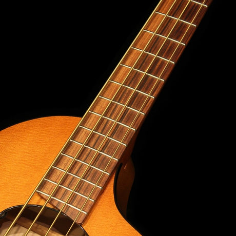 USED_Flyer_bass_4-stroke_06