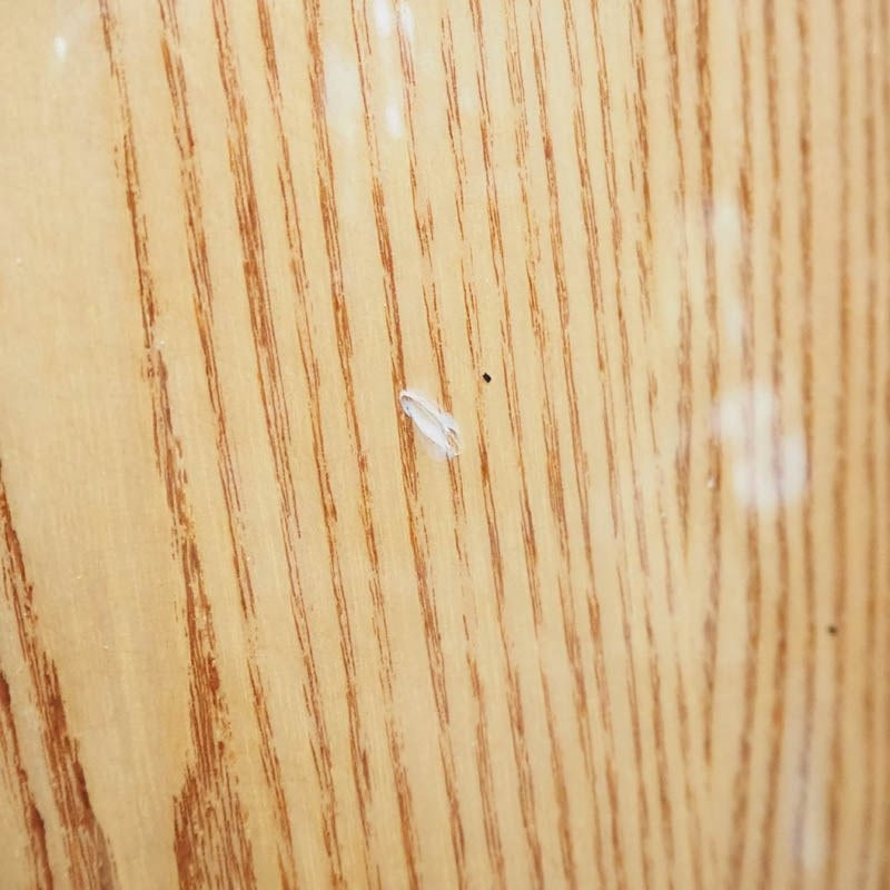 USED_GON-AA1150_N_[Alex_Acuna_Series_Conga]_08