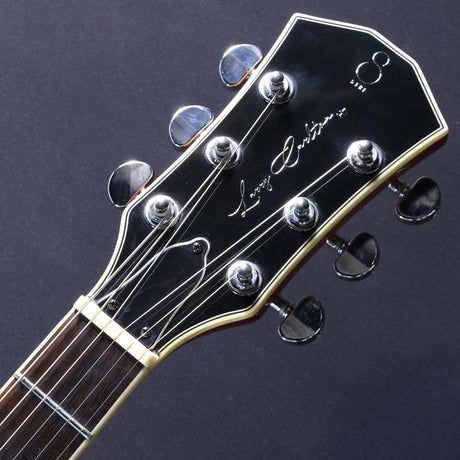 USED_H7_(Cherry_Sunbristled)_05