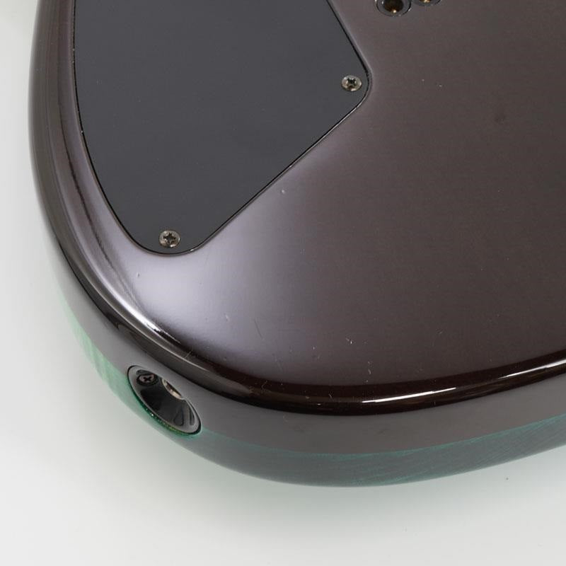 USED_Handmade_Series_T8-CUSTOM_E-MF'18_(CGR-GRD)_[SN__106492]_10