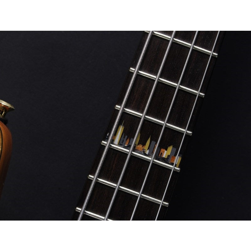 USED_NYC_Roger_Sadowsky_Select_Standard_4st_24F_Koa_Top_'15_05