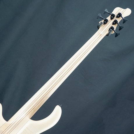 USED_Patriot_MR5_Fretless_Maurizio_Rolli_Signature_06