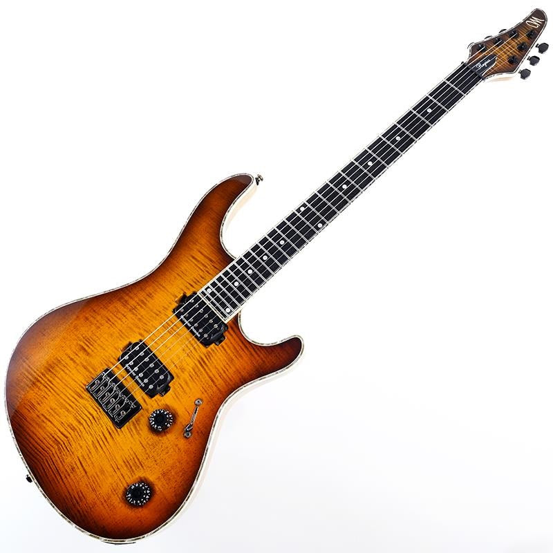 USED_Regius_6_(Trans_Dirty_Brown_Burst_Gloss)_02