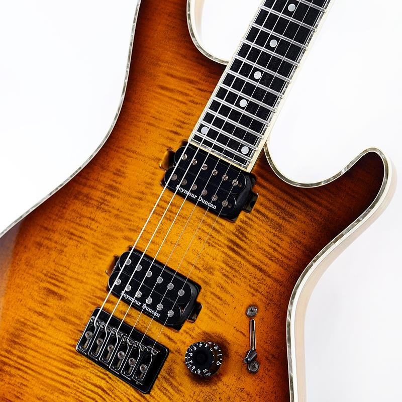 USED_Regius_6_(Trans_Dirty_Brown_Burst_Gloss)_04