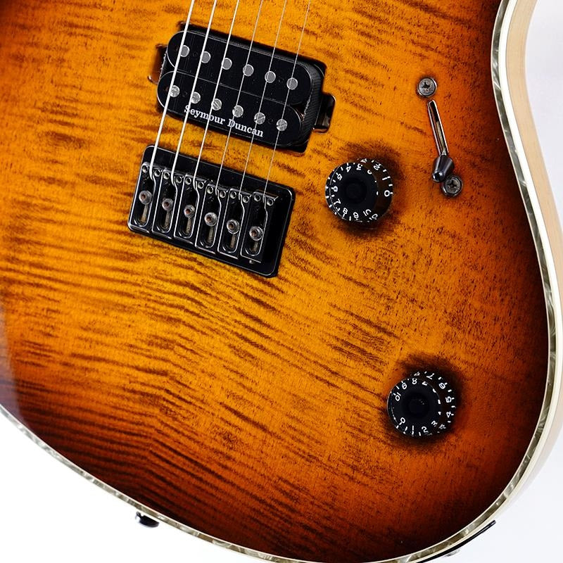 USED_Regius_6_(Trans_Dirty_Brown_Burst_Gloss)_05