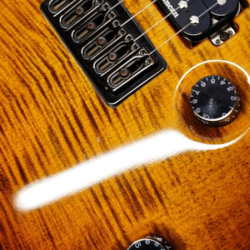 USED_Regius_6_(Trans_Dirty_Brown_Burst_Gloss)_08