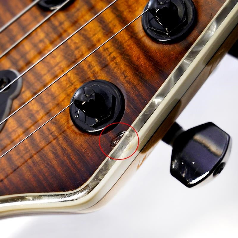 USED_Regius_6_(Trans_Dirty_Brown_Burst_Gloss)_09