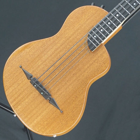 USED_Renaissance_RB4-STD_Fretted_01