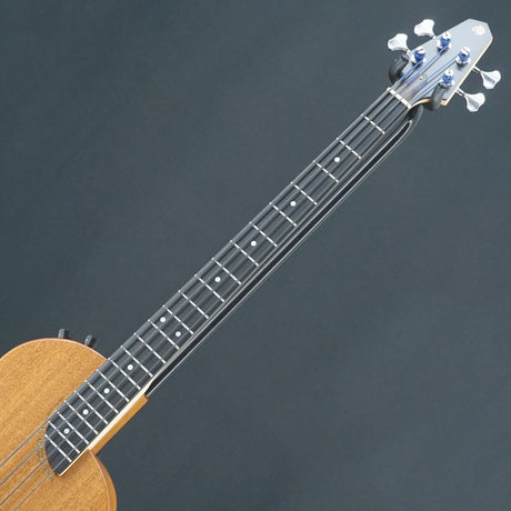 USED_Renaissance_RB4-STD_Fretted_05