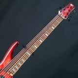 USED_SRAS7-RSG_Ashula_Bass_05