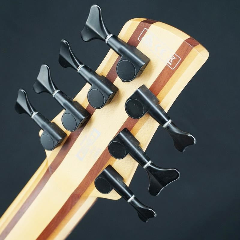 USED_SRAS7-RSG_Ashula_Bass_08