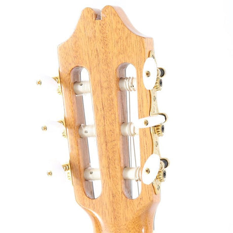 USED_Samba_Cutaway_Juan_Hernandez_07