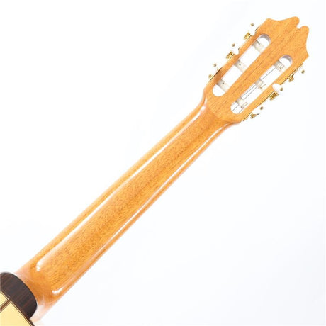 USED_Samba_Cutaway_Juan_Hernandez_08