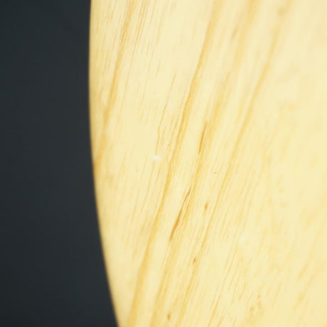 USED_StingRay_EX_(Natural_Maple)_10