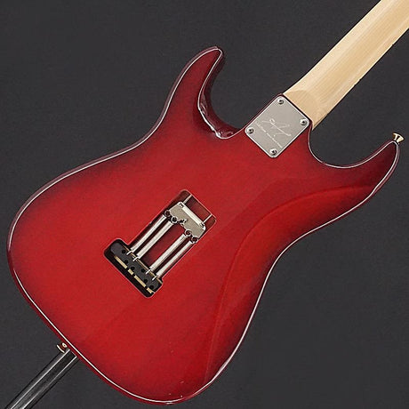 USED_​​Addictone_Custom_Order_Guitar_[SN_447]_02