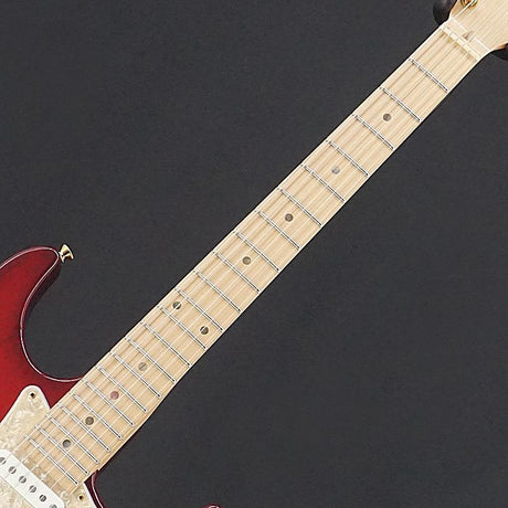 USED_​​Addictone_Custom_Order_Guitar_[SN_447]_05