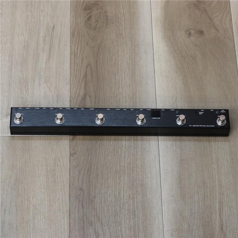 USED_​​Agamidae_Tail_Loop_02