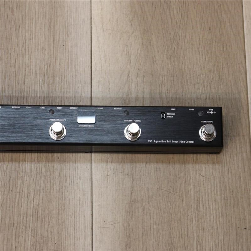 USED_​​Agamidae_Tail_Loop_04