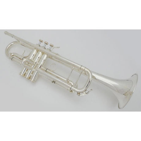 USED_​​B&S_ChallengerII_TP43II_SP_(3143_2)_#452__7_[Bb_Trumpet]_02